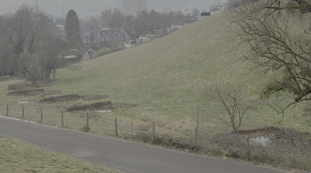 Vier künstliche Biberteiche